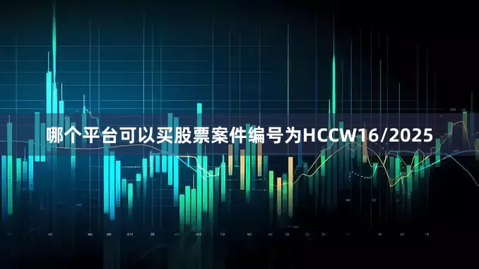 哪个平台可以买股票案件编号为HCCW16/2025