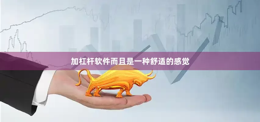 加杠杆软件而且是一种舒适的感觉