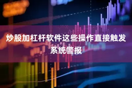 炒股加杠杆软件这些操作直接触发系统警报