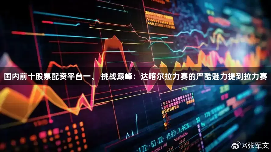 国内前十股票配资平台一、 挑战巅峰：达喀尔拉力赛的严酷魅力提到拉力赛